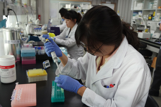 경기도 수원 광교 테라젠이텍스 바이오연구소에서 테라젠이텍스 연구원이 유전자 분석 연구를 진행하고 있다.  테라젠이텍스 제공